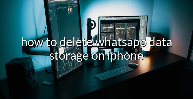 how to delete whatsapp data storage on iphone